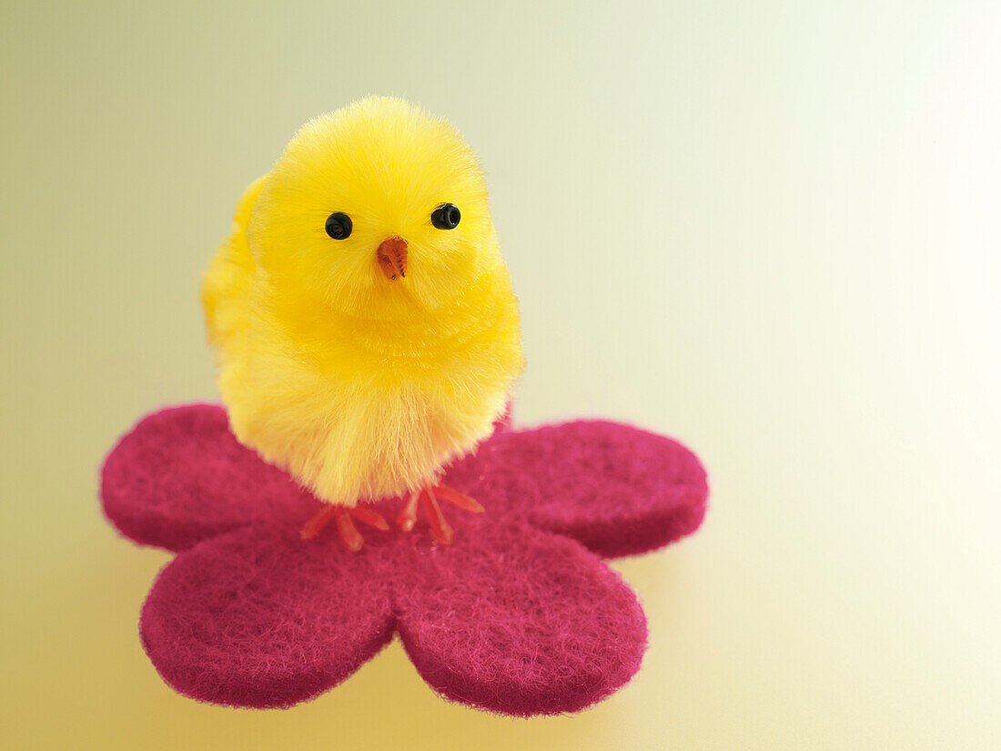 Yellow Easter Chick