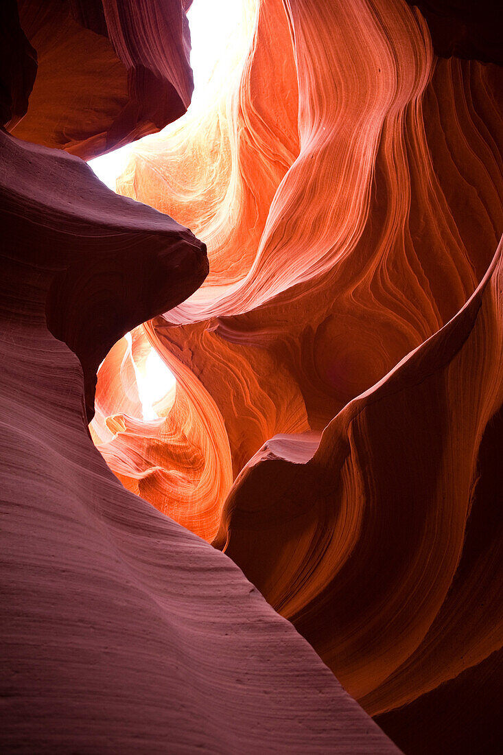 Antelope Canyon, Near Page, Lake Powell, Glen Canyon Nation Recreation Area, Arizona, USA