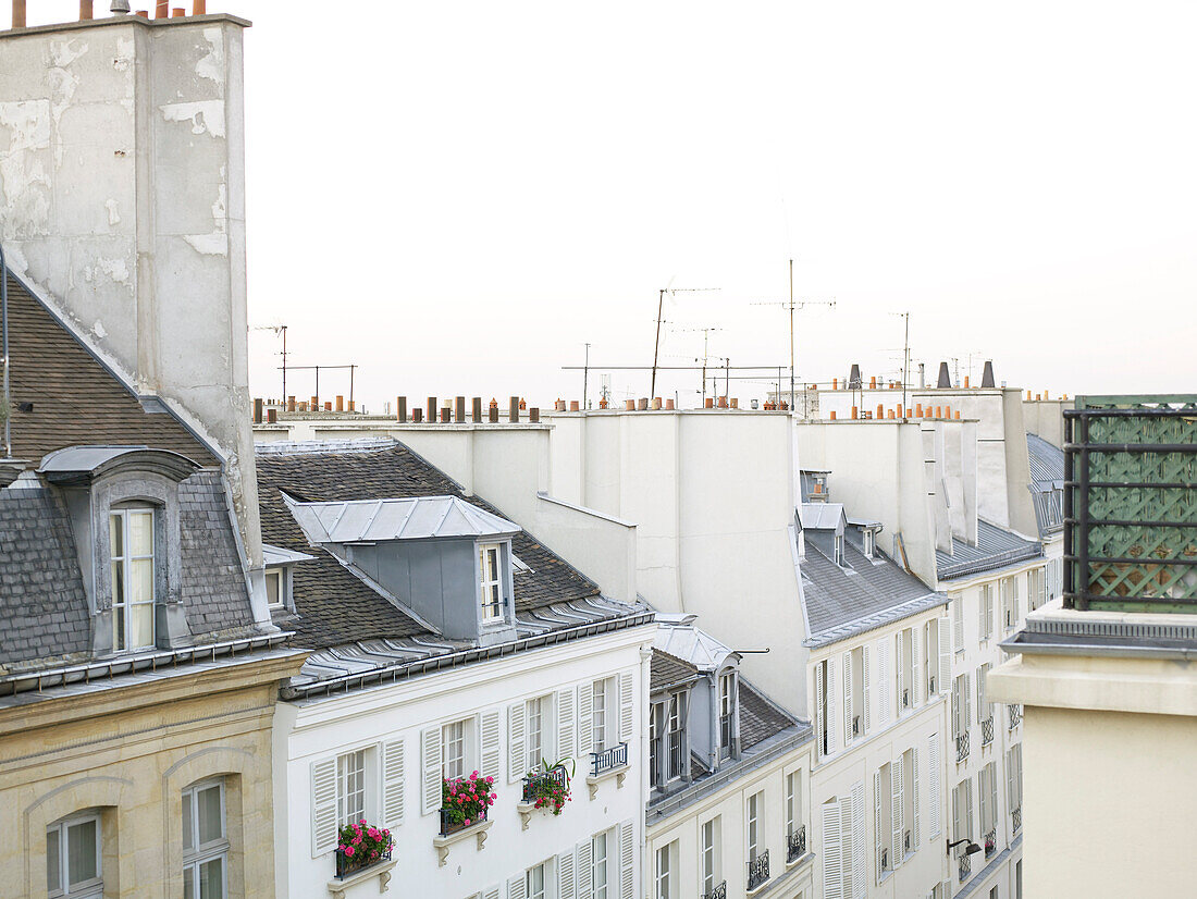 Rooftops in France