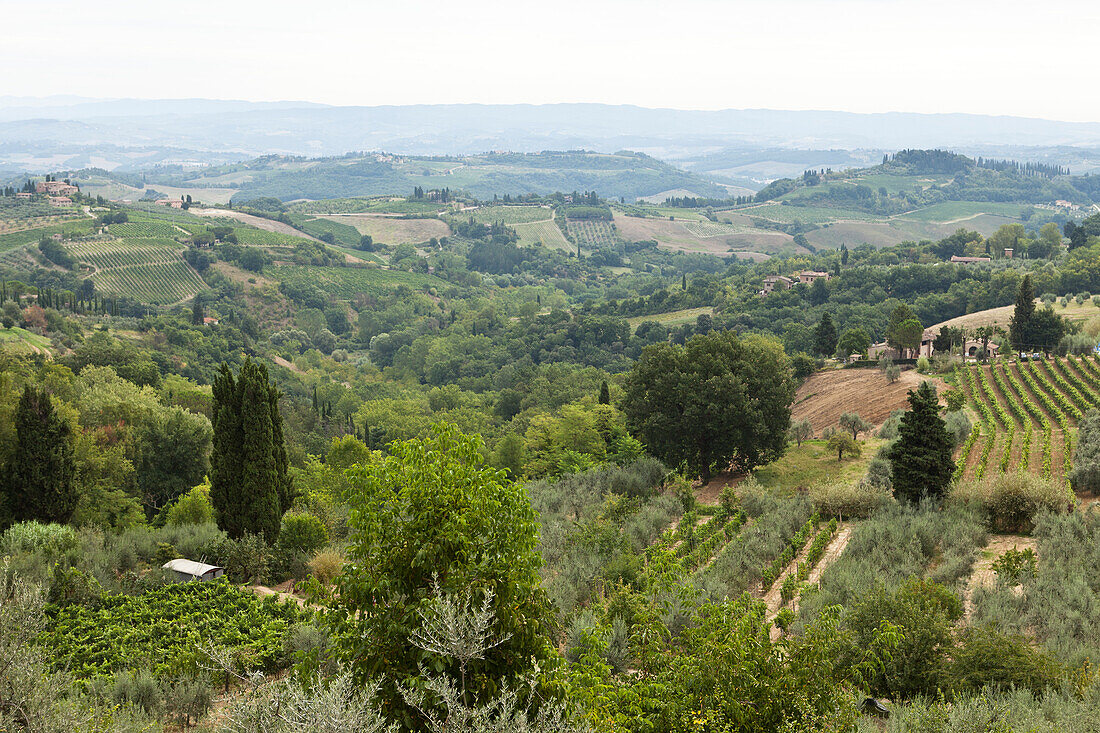 San Gimignano, Siena Province, Tuscany, Italy