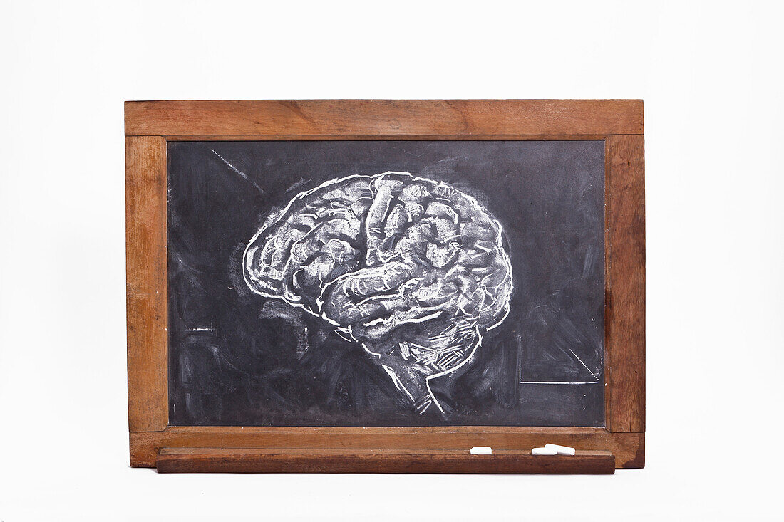 Chalk Drawing of Brain on Blackboard