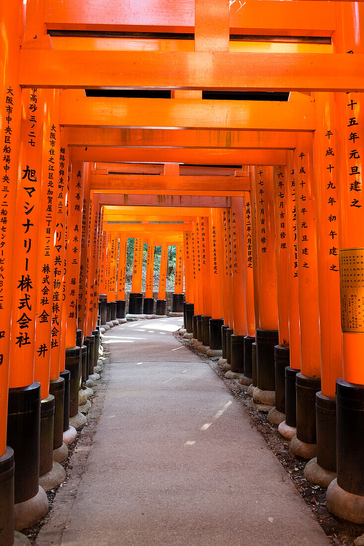 Torii Gates at Fushimi Inari Taisha, Fushimi, Kyoto, Kansai Region, Japan