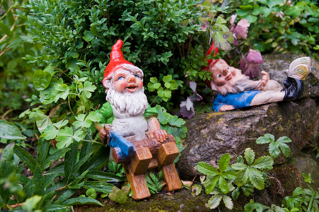 Garden Gnomes, Freiburg, Baden-Wurttemberg, Germany