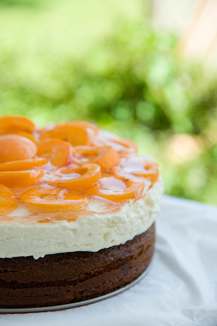 Hausgemachte Torte, Österreich