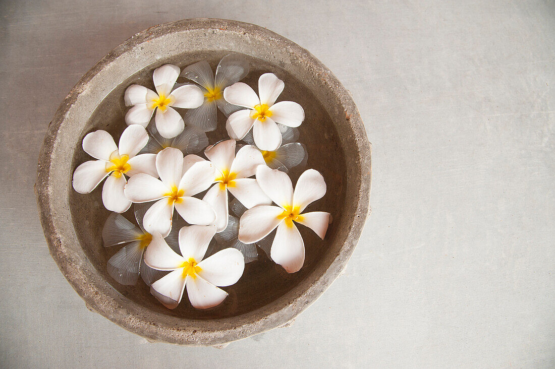 Weiße Blumen schwimmen im Wasser in einer Schale aus Stein