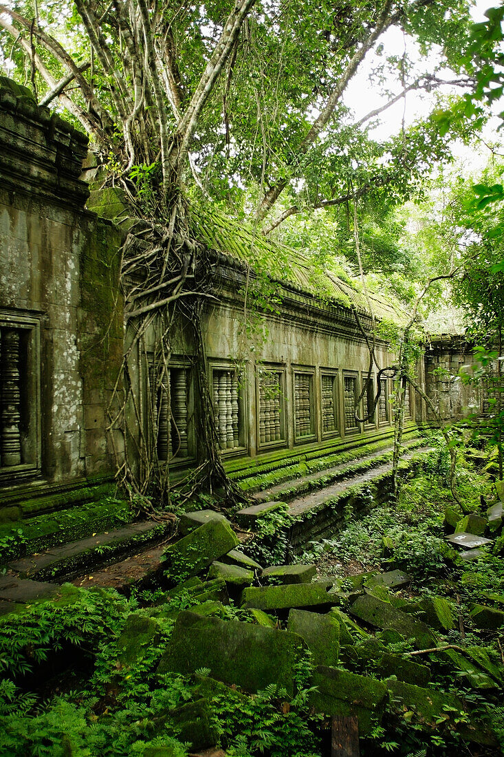 Beng Mealea, Angkor, Kambodscha