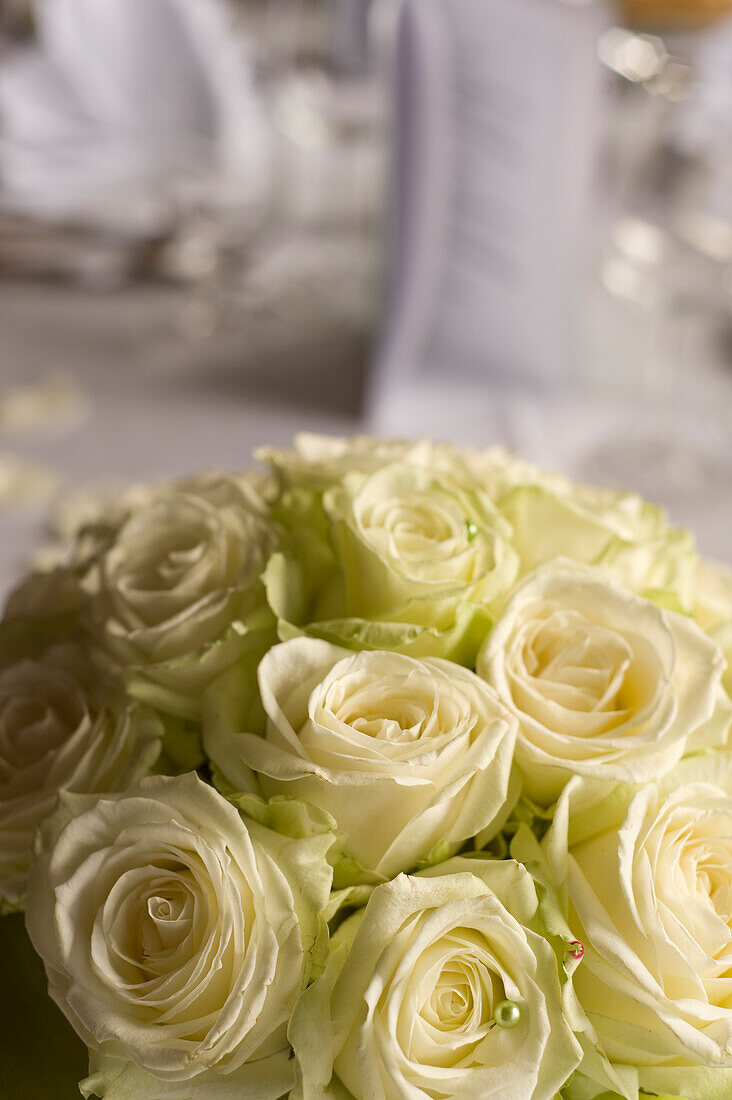 Bouquet of Roses, Salzburger Land, Austria