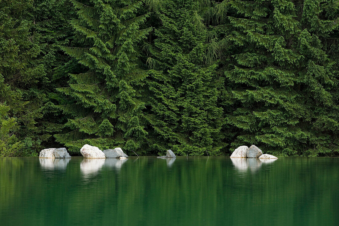 Reflection of Rocks in Water, Forest in Background, Near Fuschl, Salzburg, Austria