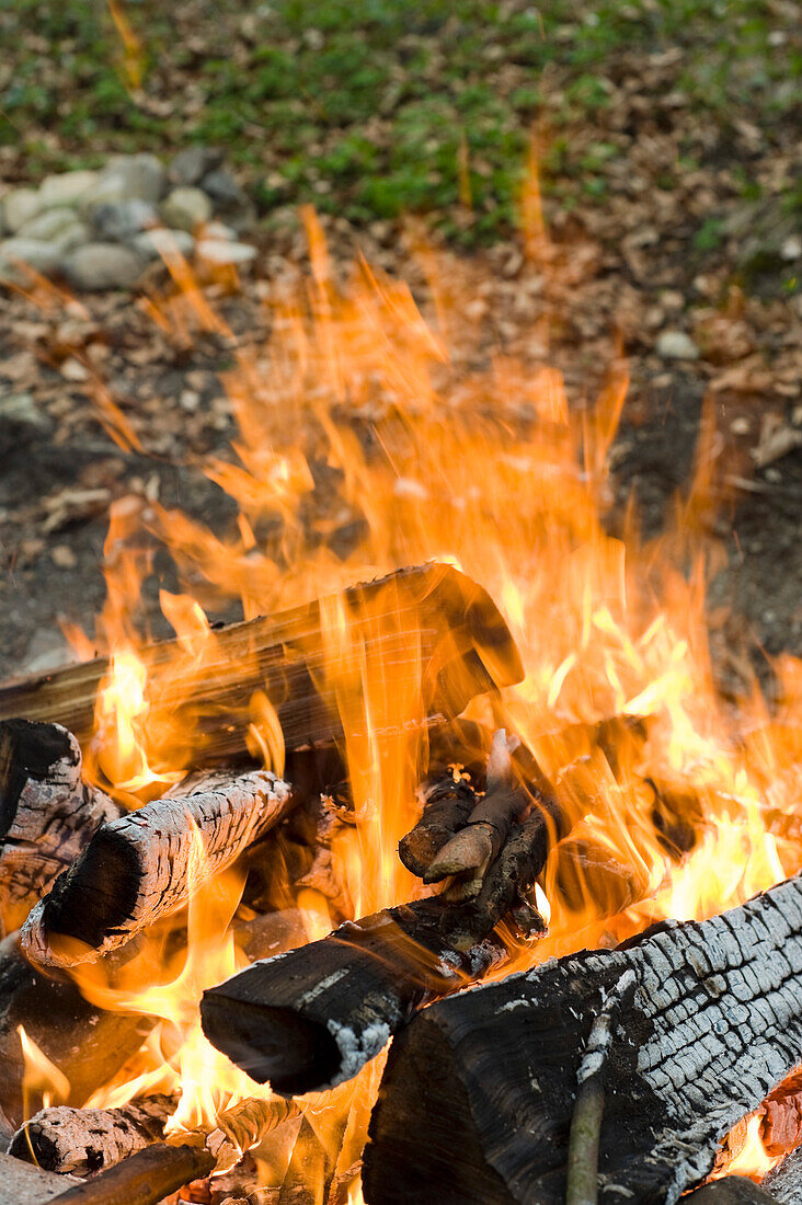 Lagerfeuer, Salzburg, Salzburger Land, Österreich