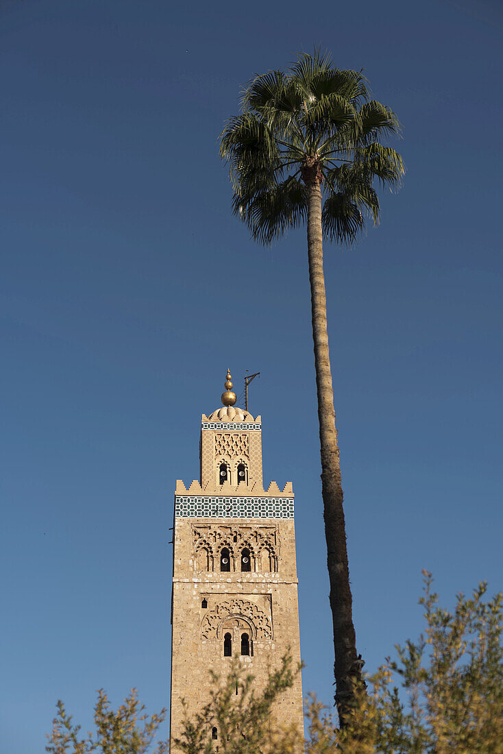 Koutoubia-Moschee und Palme, Medina, Marrakesch, Marokko