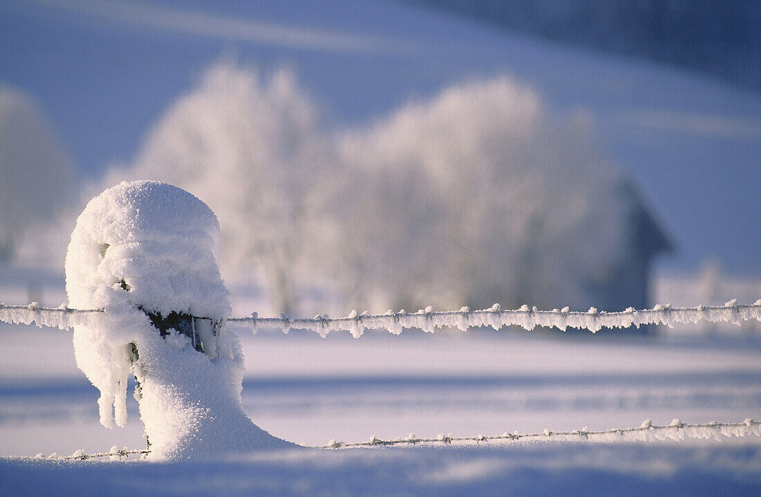 Winterlandschaft, Österreich