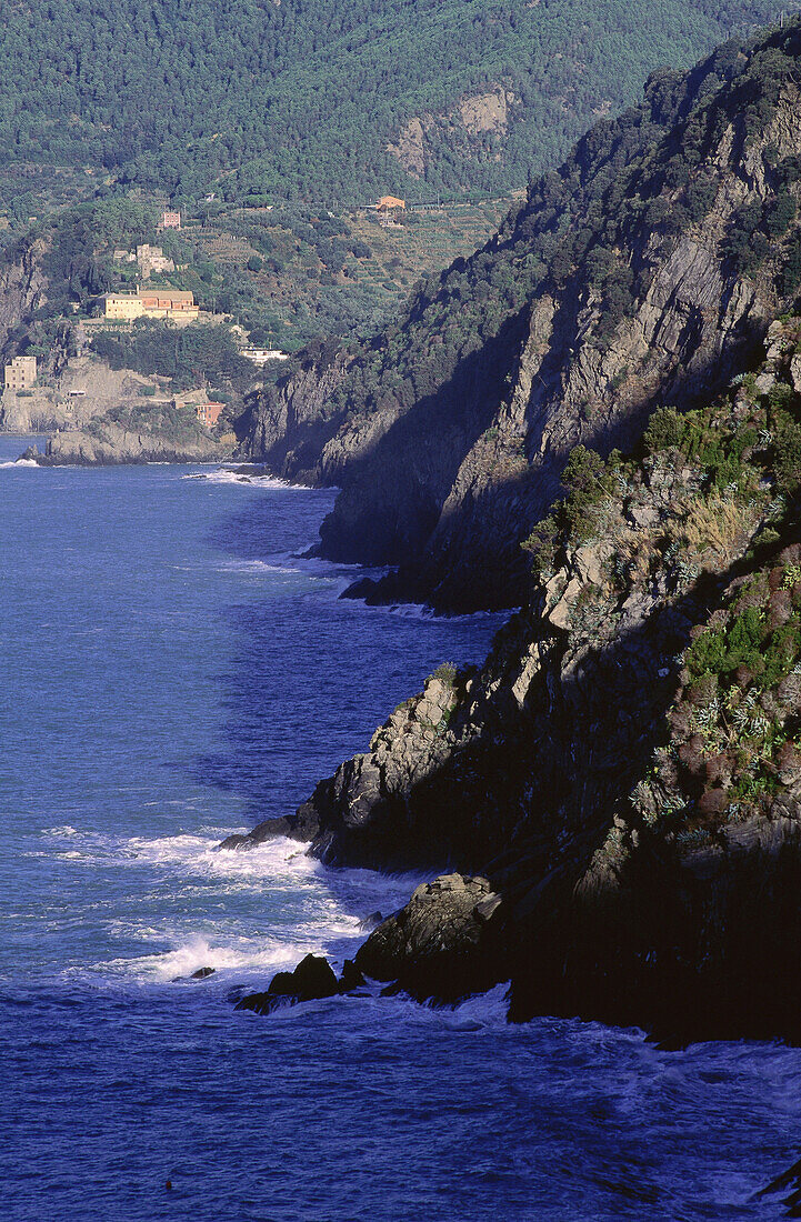 Cinque Terre Region, Monterosso Riviera, Italien