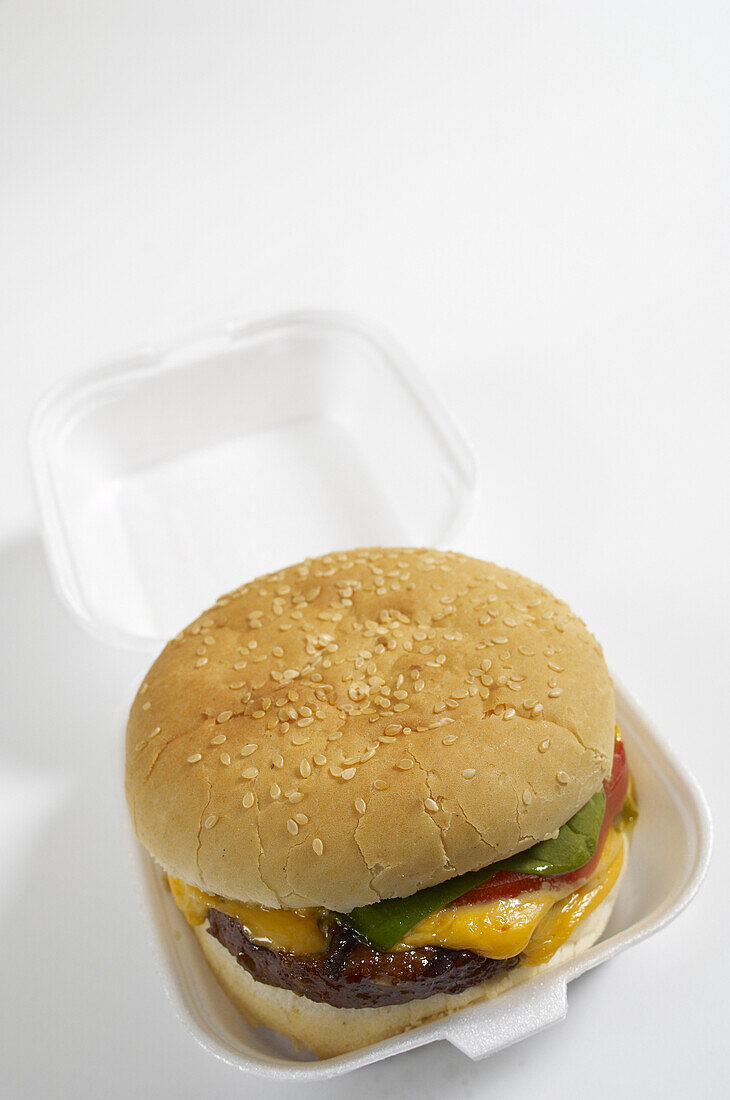 Hamburger in Styrofoam Container