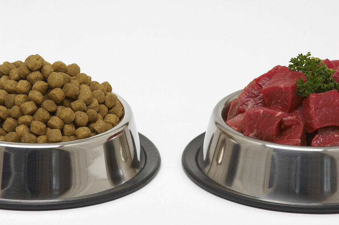 Dog Food and Chopped Beef in Dog Bowls