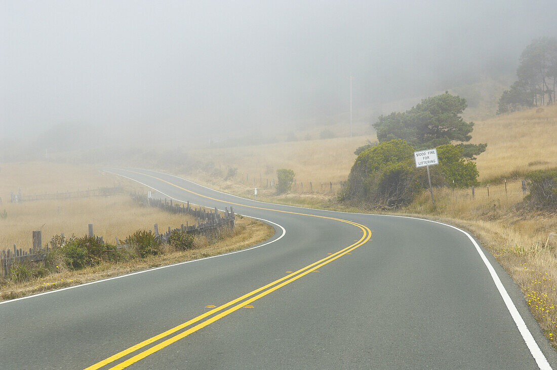 Highway 1, California, USA