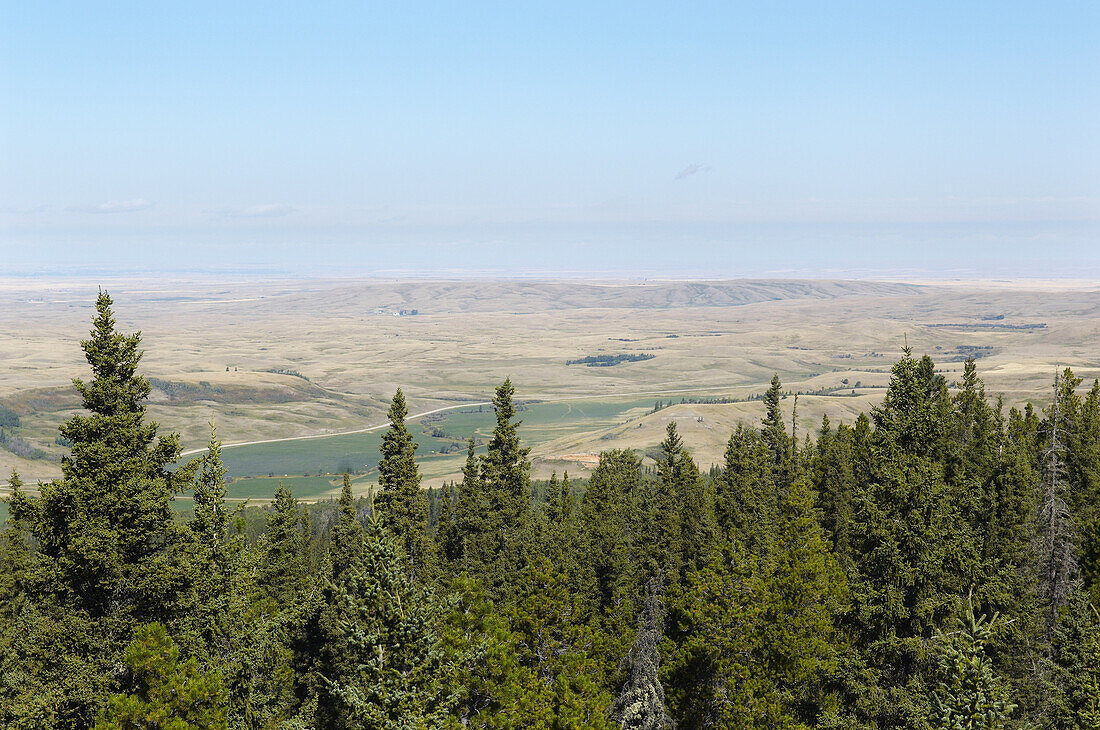 Overview of Landscape From Cypress Hills, Alberta, Canada