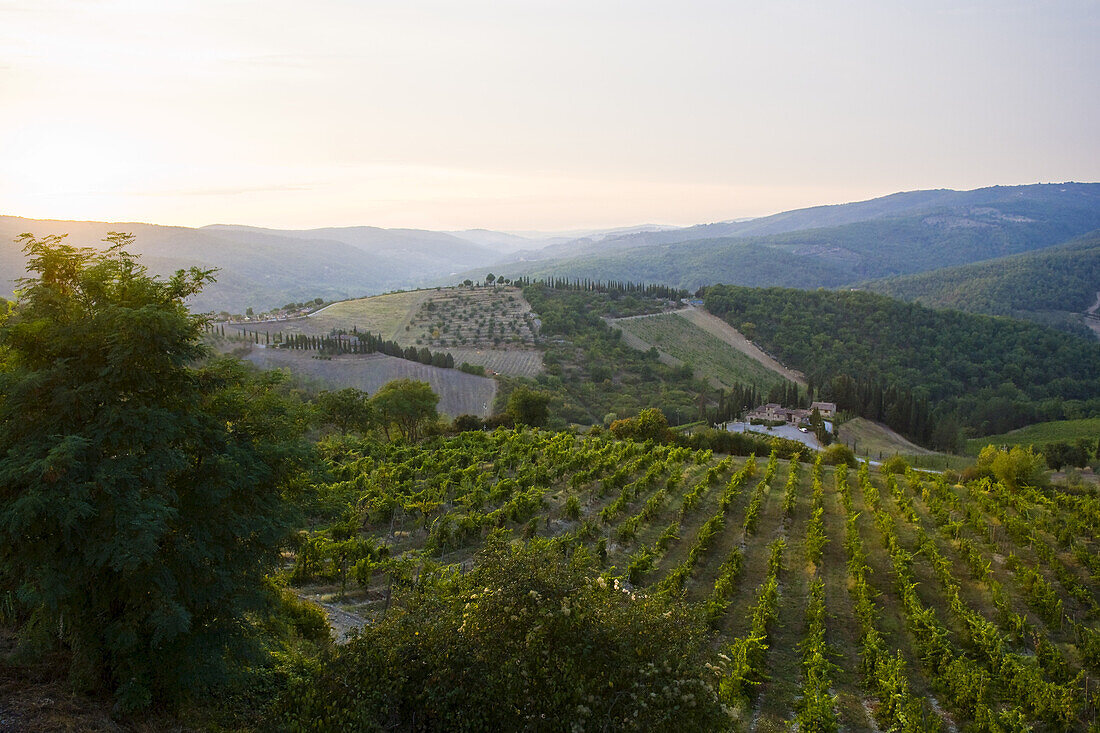 Radda in Chianti, Province of Siena, Tuscany, Italy