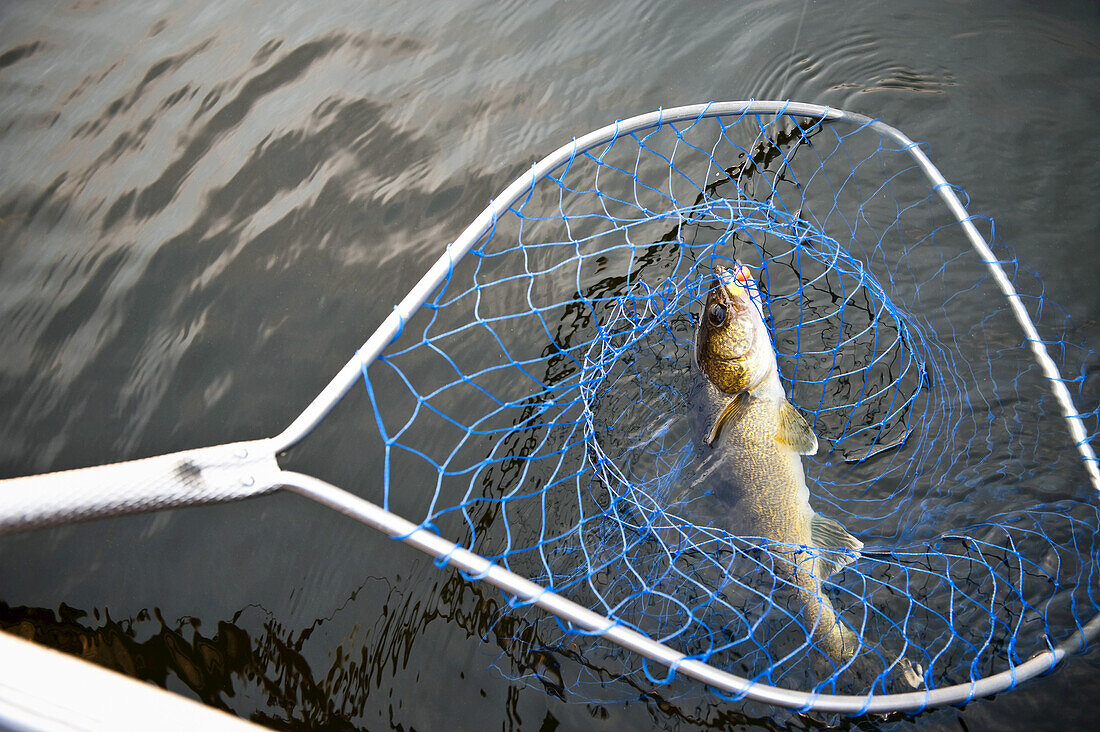 Fishing, Otter Lake, Missinipe, Saskatchewan, Canada