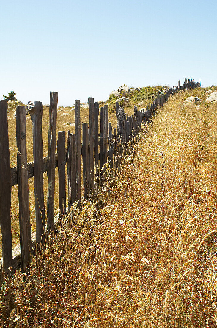 Zaun, Mendocino-Küste, Kalifornien, USA