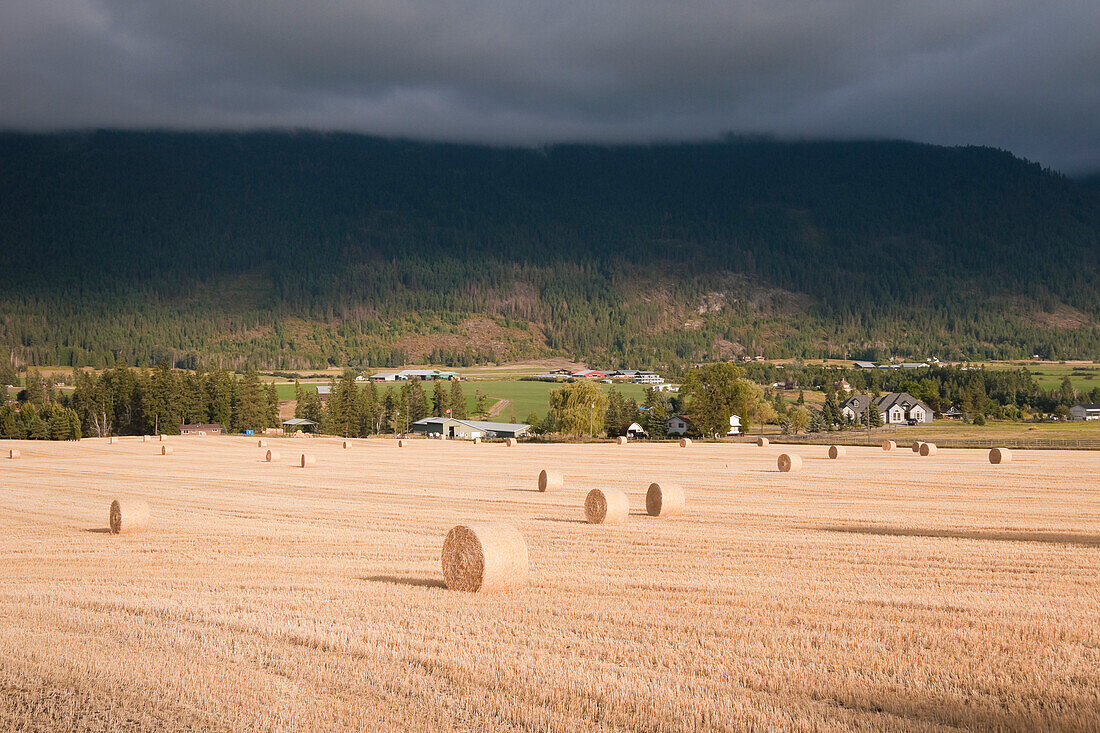 Heuballen auf einer Farm bei Vernon, British Columbia, Kanada