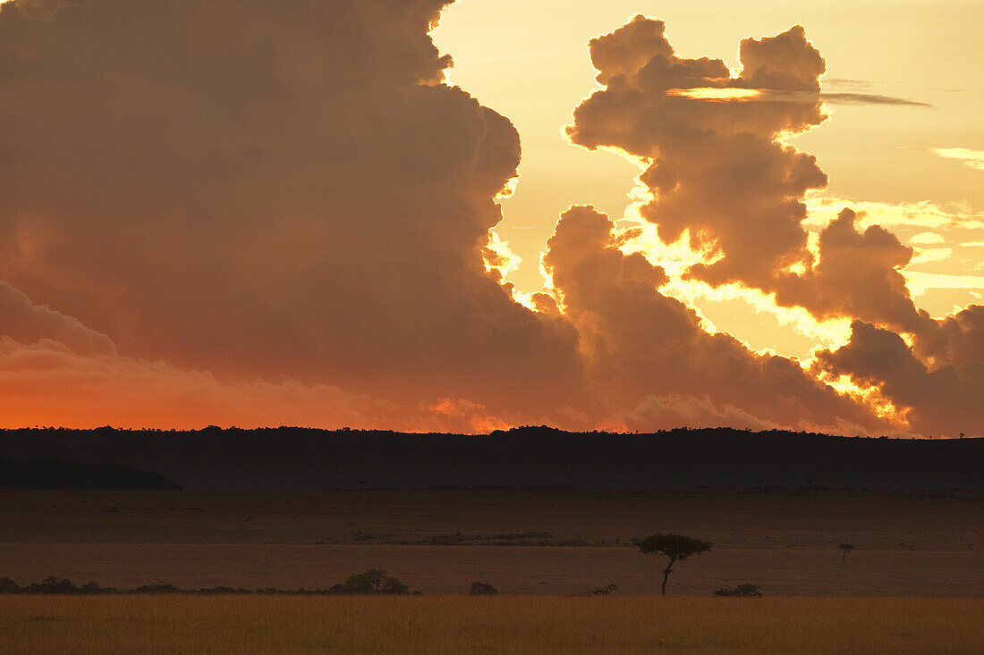 Sonnenuntergang, Masai Mara Nationalreservat, Kenia