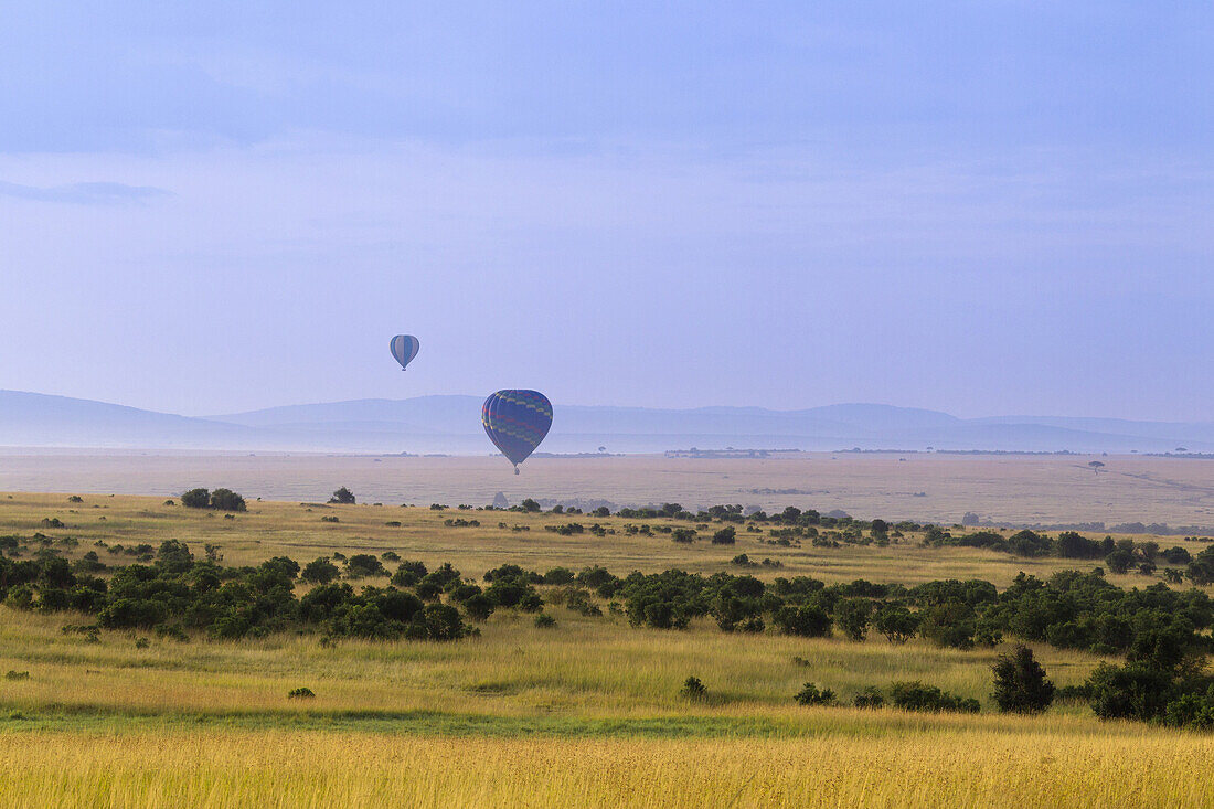 Hot Air Balloons Flying over Masai Mara National Reserve, Kenya