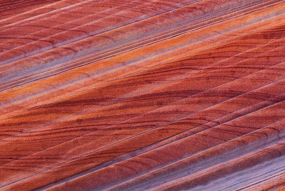 Die Welle, Coyote Buttes, Page, Arizona, USA; Nahaufnahme einer Felsformation