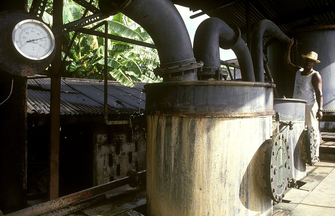 Distillery kettles at a rum distillery in Grenada