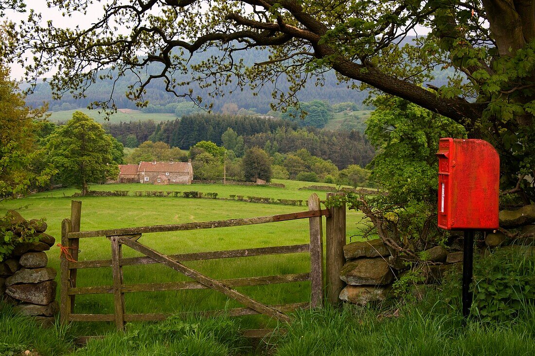 Red Mailbox In Rural Setting; North Yorkshire, England, Uk