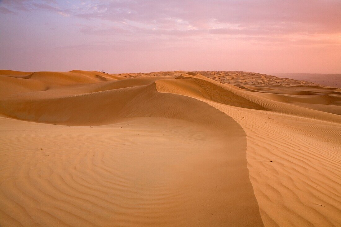 Wahiba Sands; Wahiba, Oman