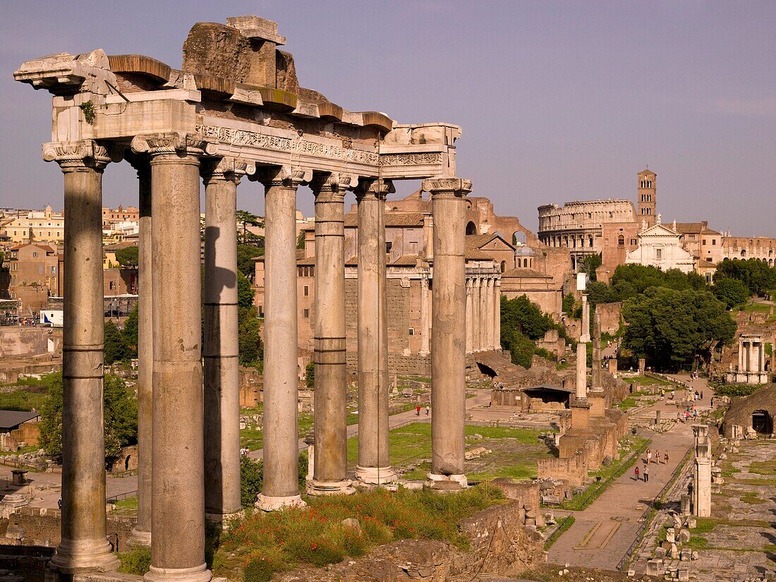 Blick auf das Forum Romanum; Rom, Italien