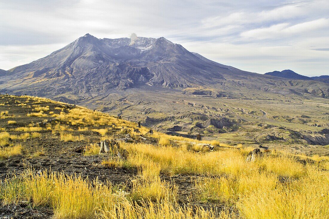 Mount Saint Helens, Washington, Usa