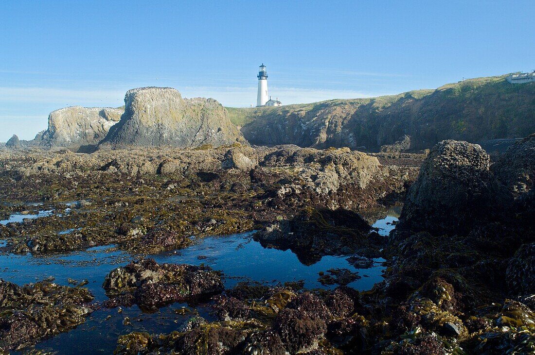 Ebbe am Yaquina Head-Leuchtturm; Yaquina Head Outstanding Natural Area, Newport, Oregon, Usa