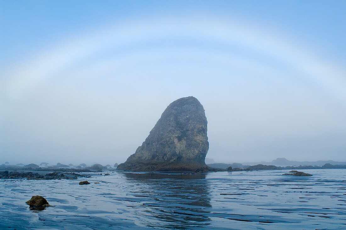 Fogbow On Olympic Coast; Olympic National Park, Washington State, Usa