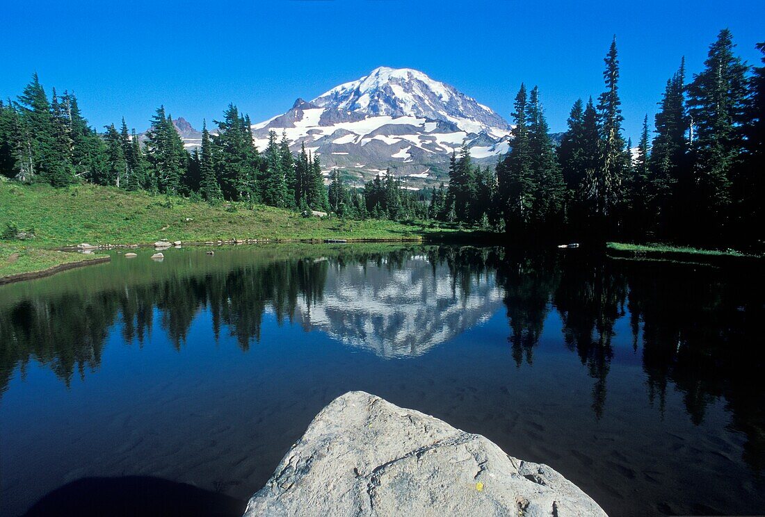 Mt. Rainier From Spray Park; Mt Rainier National Park, Washington State, Usa