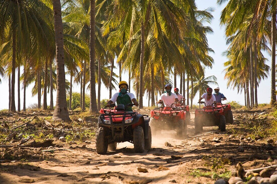 Drivers On Quadbikes Taking Part In Atv Tour; Stone Island, Mazatlan, Sinaloa, Mexico