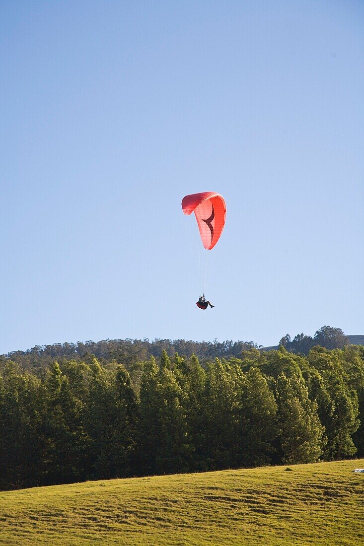 Paraglider In Air Over Tree Tops; Haleakala, Maui, Hawaii, Usa