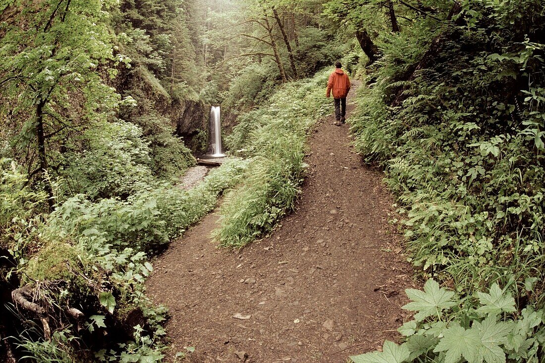 Serpintine Trail; Multnomah Creek, Columbia River Gorge, Oregon, Usa