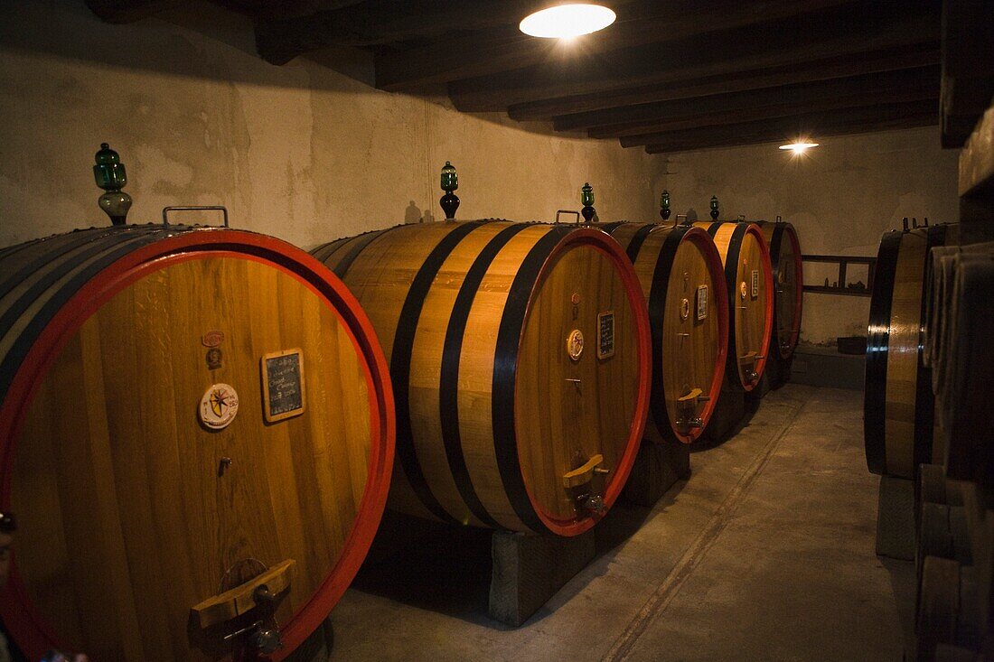 Weinfässer im Keller; Castello Di Verrazzano, Greti, Italien
