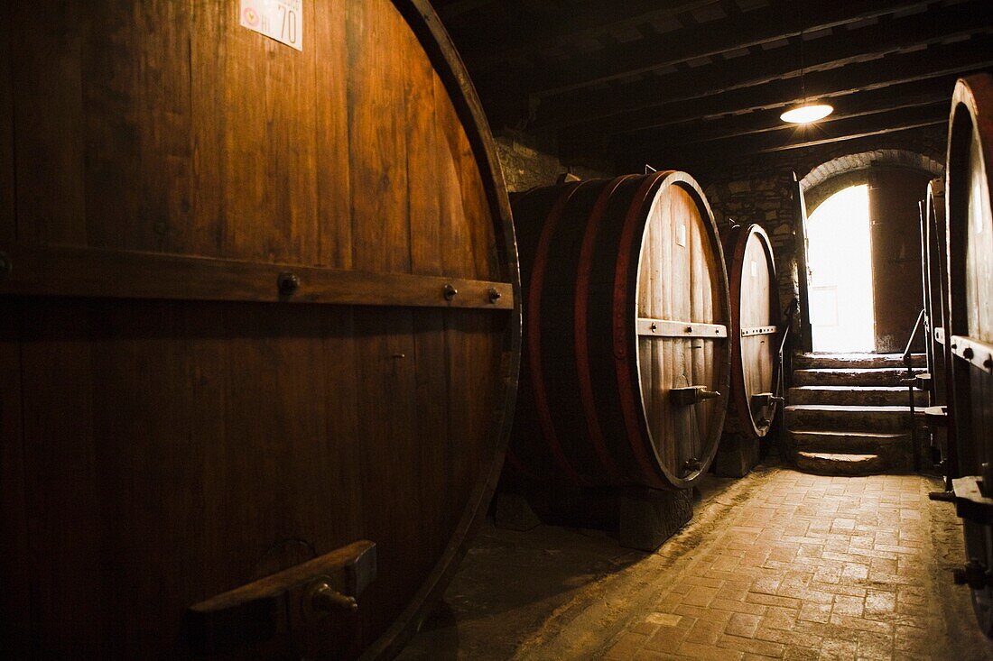 Wine Barrels In Cellar; Castello Di Verrazzano, Greti, Italy