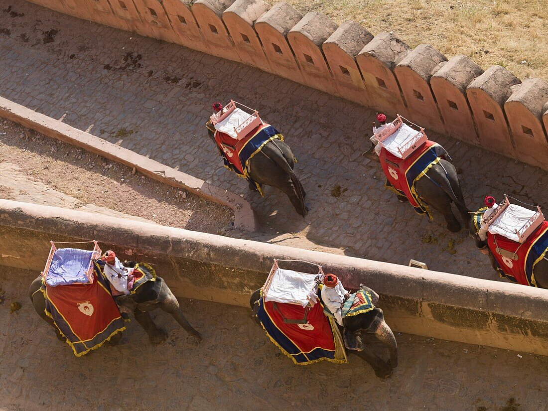 Vier Mahouts reiten auf ihren Elefanten im Amber Fort; Amber, Jaipur, Rajasthan, Indien