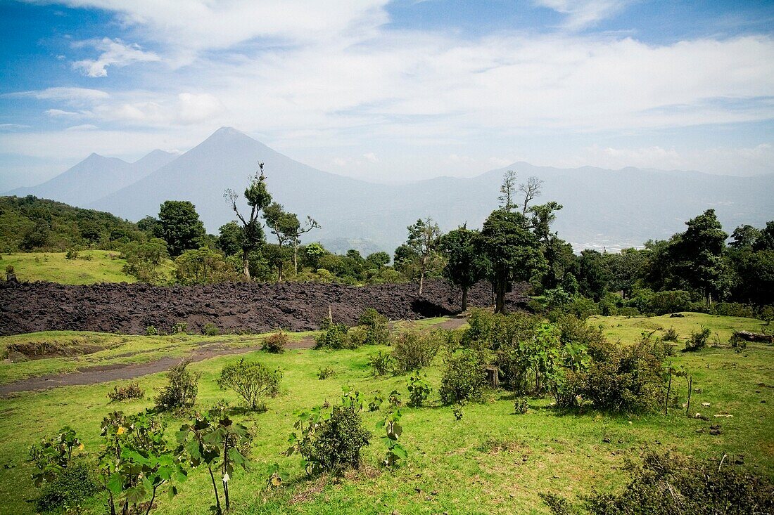 Preparation Of New Field; Antigua, Guatemala