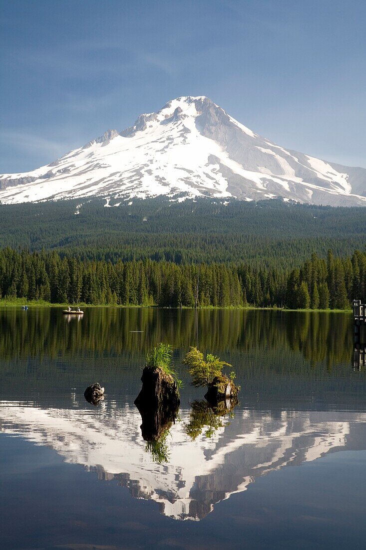 Mt. Hood Reflects In Trillium Lake; Mt Hood National Forest, Oregon, Usa