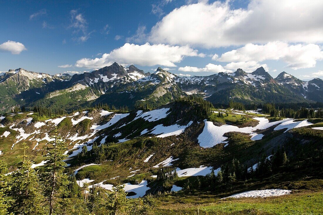 Tatoosh Mountains In Spring Season; Mt Rainier National Park, Washington State, Usa