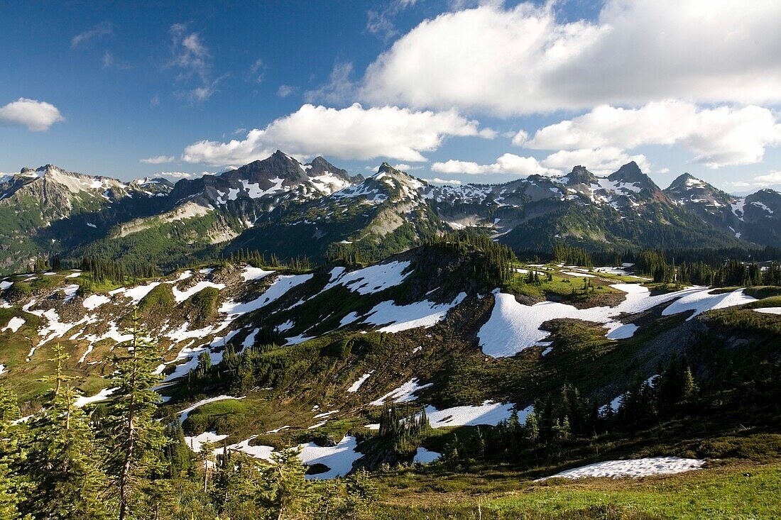 Tatoosh Mountains im Frühling; Mt Rainier National Park, Washington State, USA