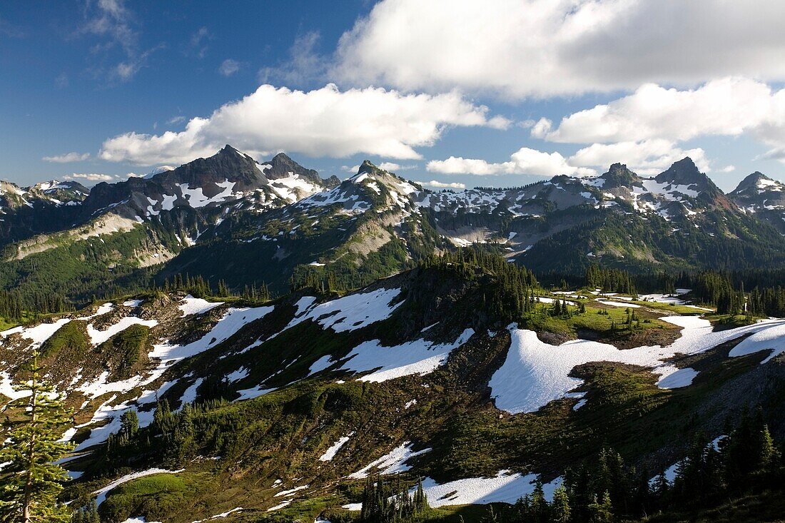 Tatoosh Mountains In Spring Season; Mt Rainier National Park, Washington State, Usa