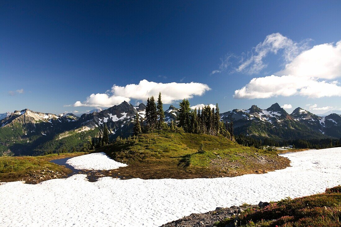 Tatoosh Mountains im Frühling; Mt Rainier National Park, Washington State, USA