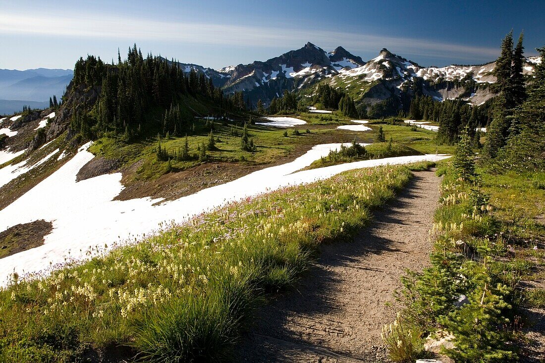 Paradise Park; Tatoosh Mountains, Mt Rainier National Park, Washington State, Usa