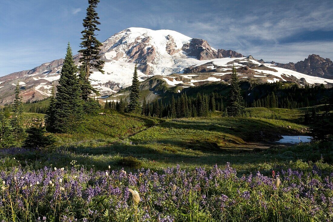 Mt. Rainier; Mt. Rainier National Park, Washington State, Usa