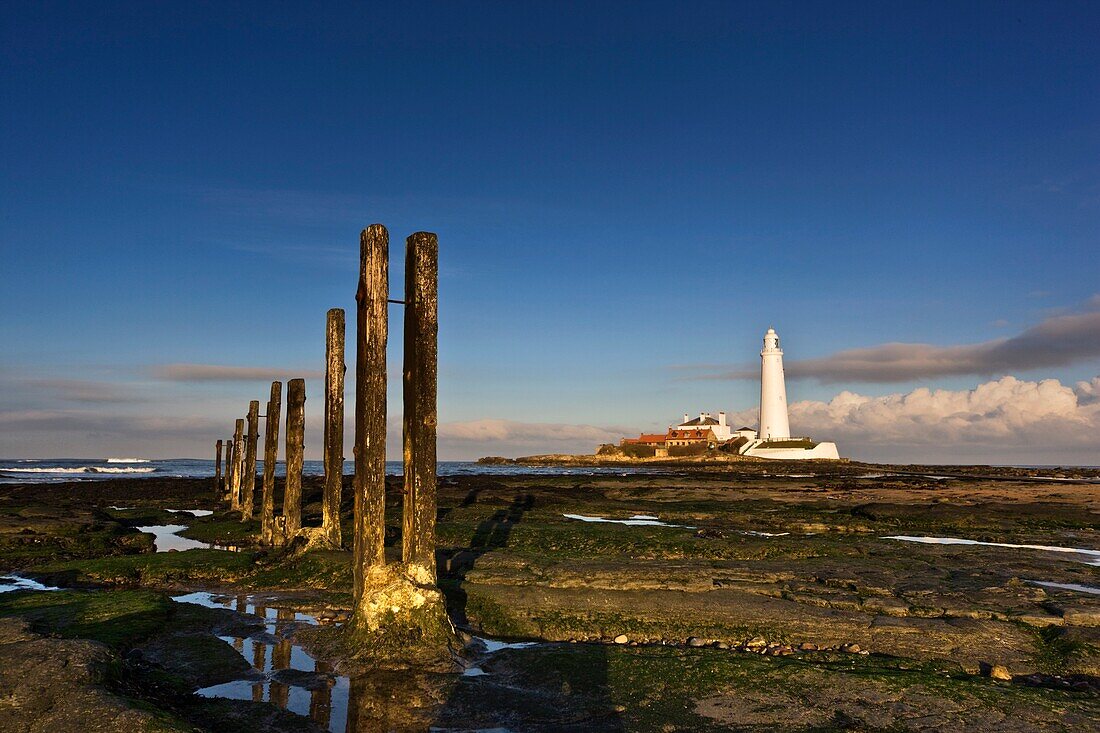 Shore And Lighthouse In Distance; Whitley Bay, Northumberland, England